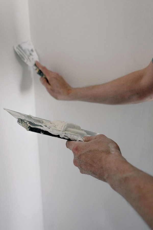 What are the eco-friendly alternatives to traditional plaster for a UK home renovation?