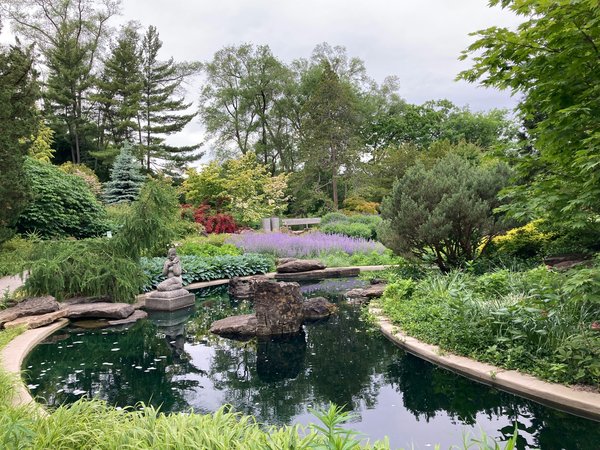 What are the key considerations for constructing a pond in a UK back garden?